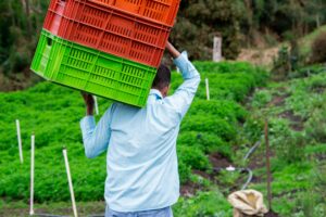 Agricultural and Labor TransformationsMarket Revolution
