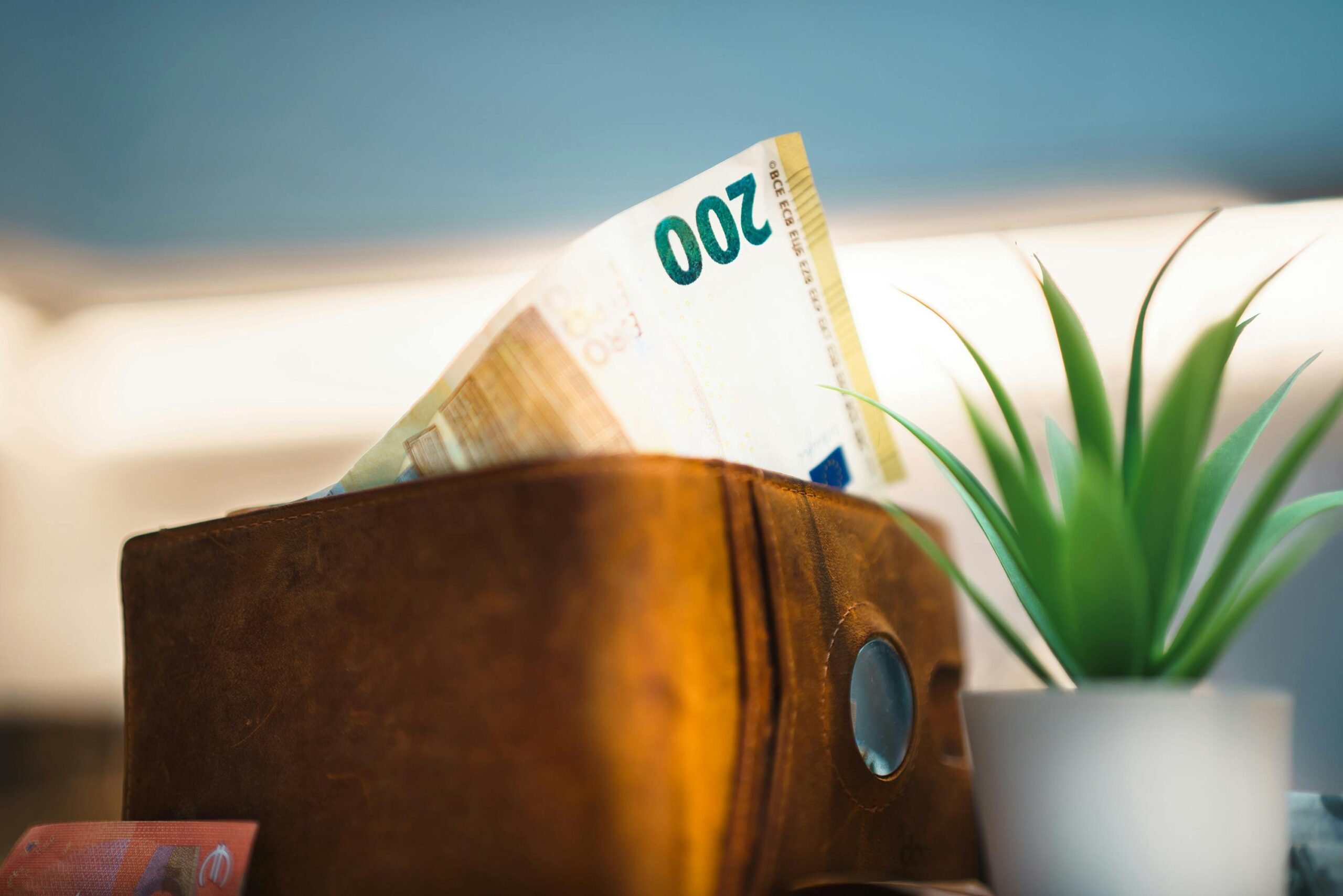 Costs and Budgeting Laundromat