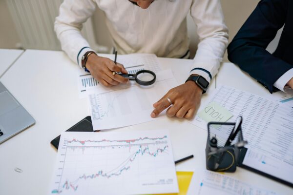 Profitability, Investment Business Potential Profitability, Investment Business Potential